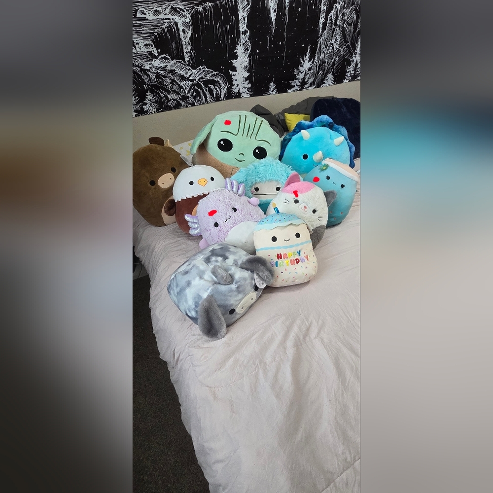 Squishmallows for sale!